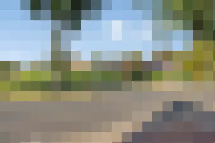 Noorderdiep 518 Nieuw-Buinen thumbnail 39