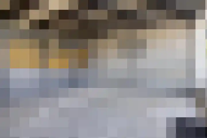 Noorderdiep 518 Nieuw-Buinen thumbnail 9