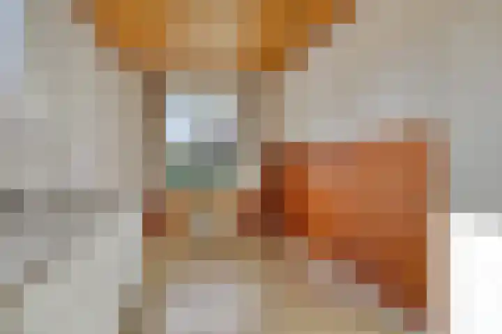 Noorderdiep 545 Valthermond thumbnail 13