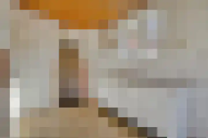 Noorderdiep 545 Valthermond thumbnail 14