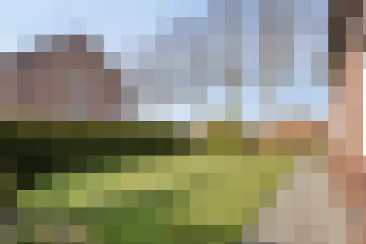 Noorderdiep 545 Valthermond thumbnail 24