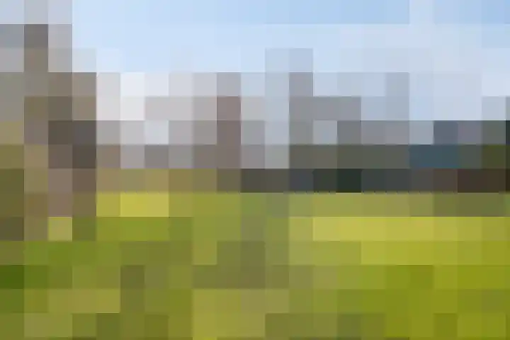 Noorderdiep 545 Valthermond thumbnail 29