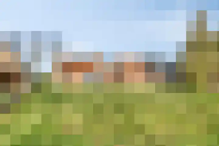 Noorderdiep 545 Valthermond thumbnail 30