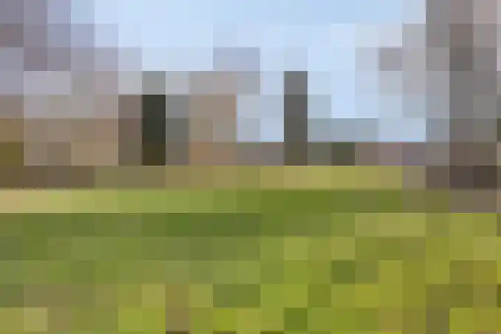 Noorderdiep 545 Valthermond thumbnail 31