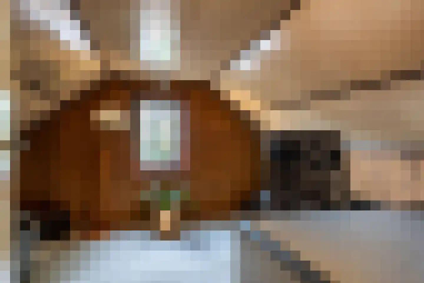 Noorderdiep 562 Valthermond thumbnail 23