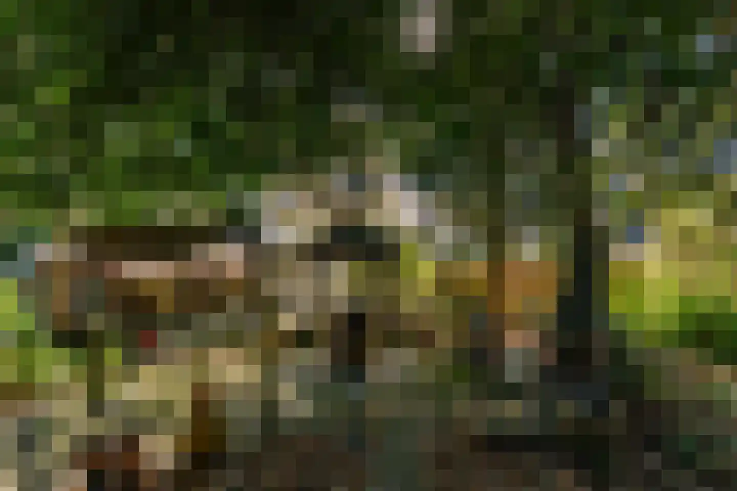Noorderdiep 562 Valthermond thumbnail 33