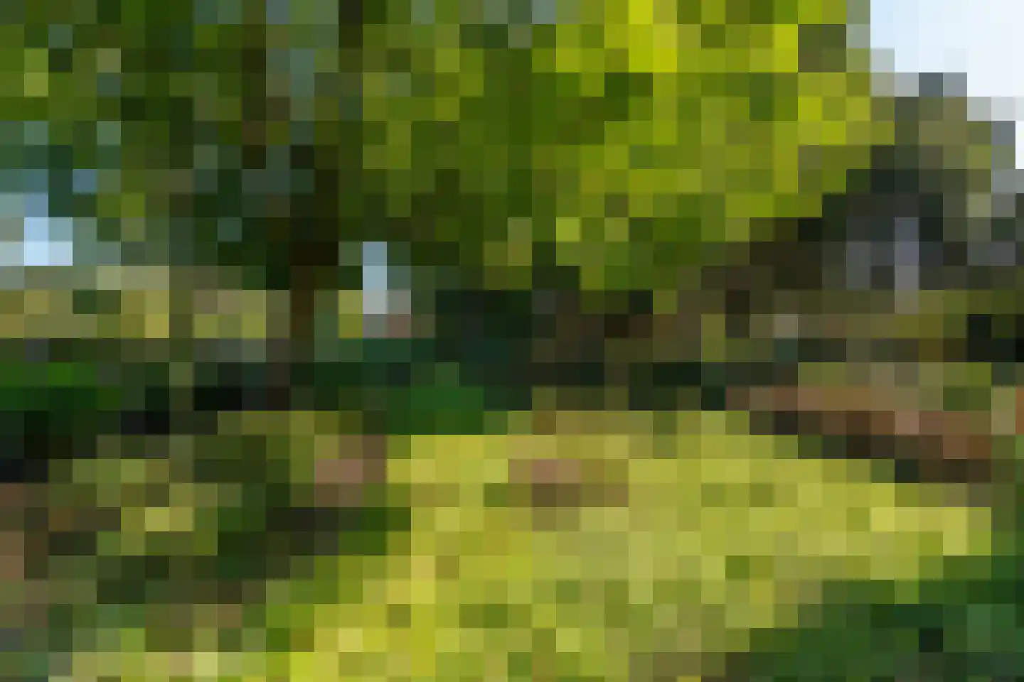 Noorderdiep 562 Valthermond thumbnail 35