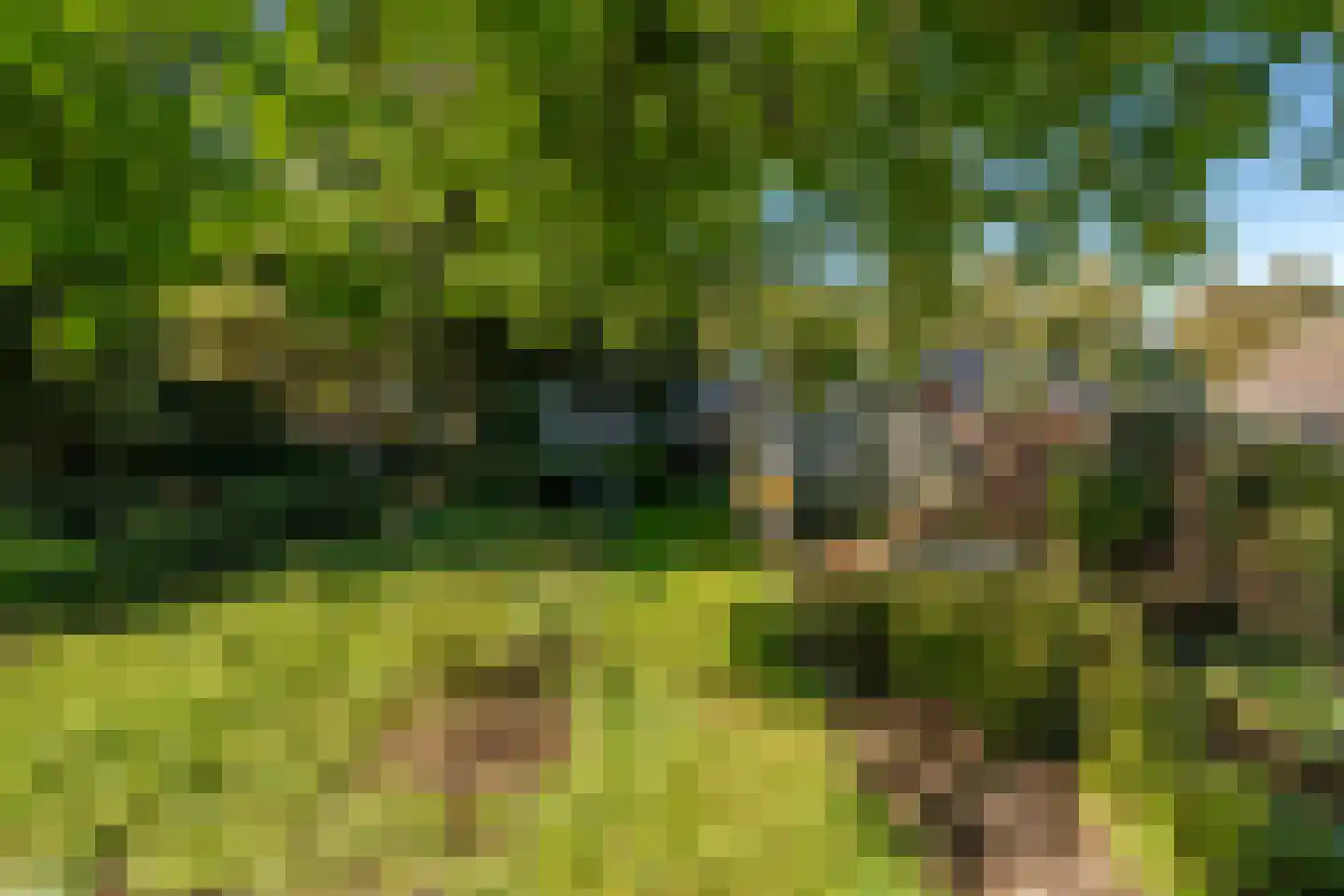 Noorderdiep 562 Valthermond thumbnail 36