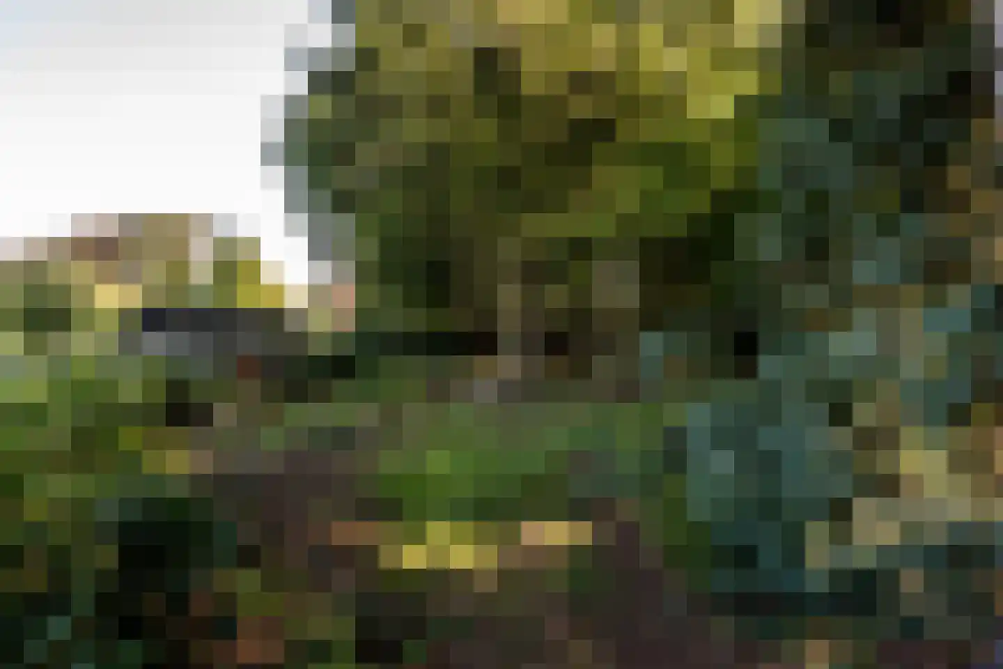 Noorderdiep 562 Valthermond thumbnail 38