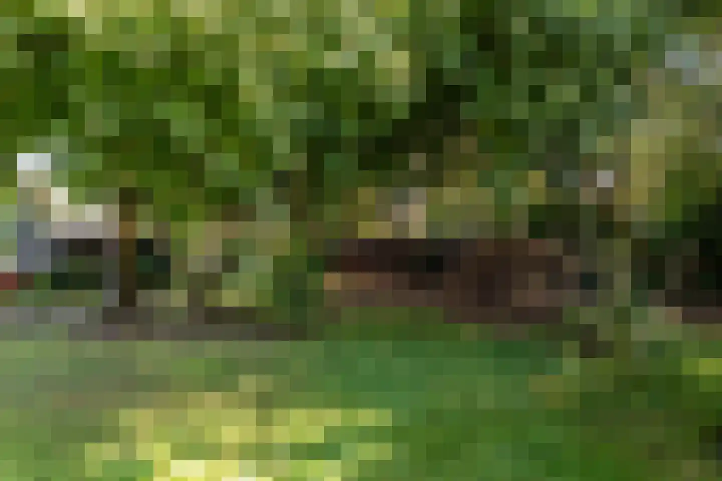 Noorderdiep 562 Valthermond thumbnail 39