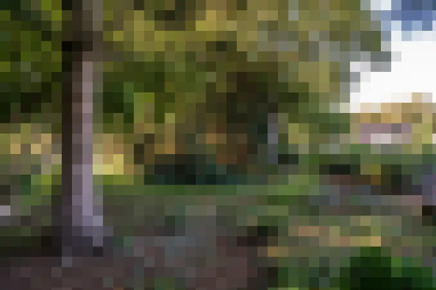 Noorderdiep 562 Valthermond thumbnail 40