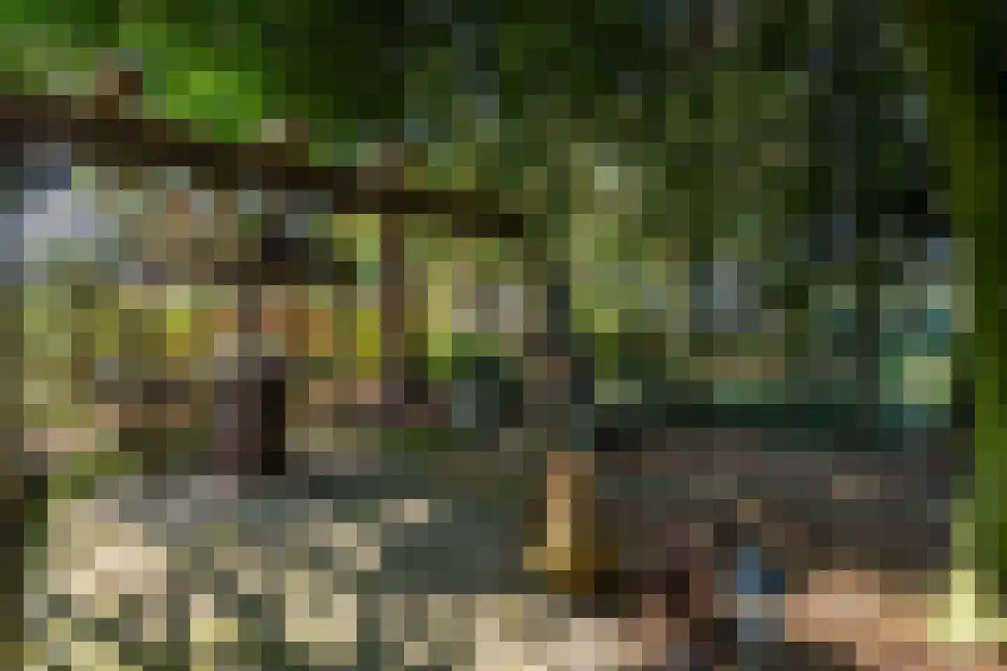Noorderdiep 562 Valthermond thumbnail 5