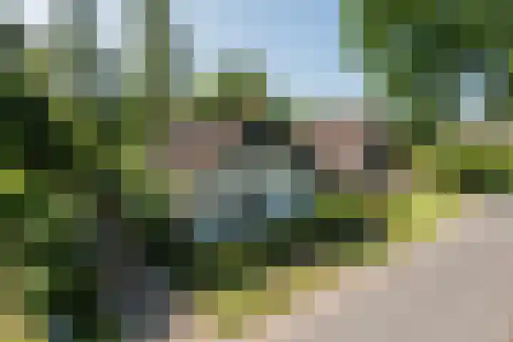 Noorderdiep 70 Nieuw-Buinen thumbnail 16
