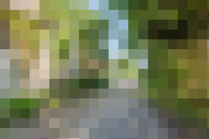 Noorderdiep 70 Nieuw-Buinen thumbnail 17