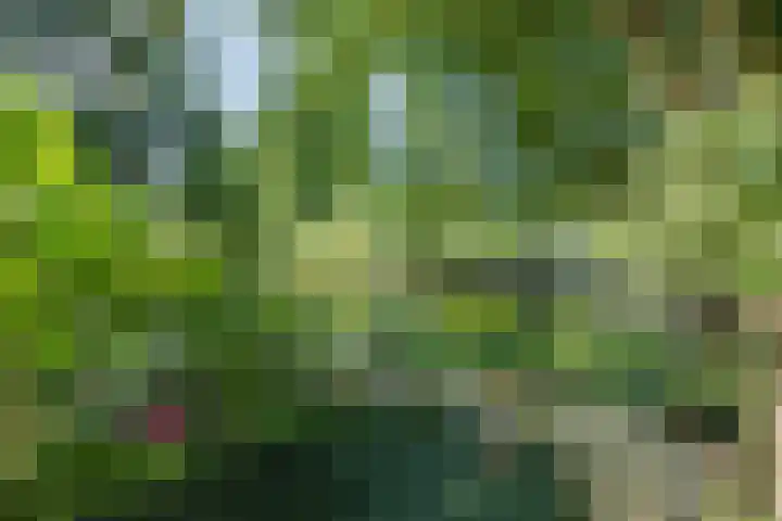 Noorderdiep 70 Nieuw-Buinen thumbnail 18