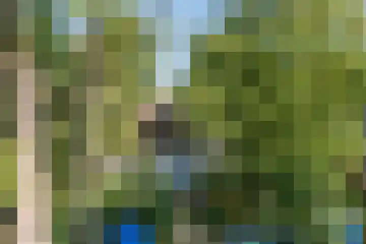 Noorderdiep 70 Nieuw-Buinen thumbnail 19