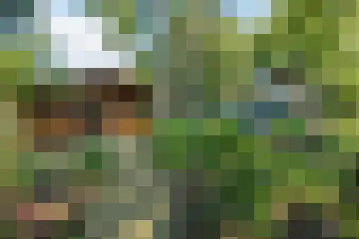Noorderdiep 70 Nieuw-Buinen thumbnail 20
