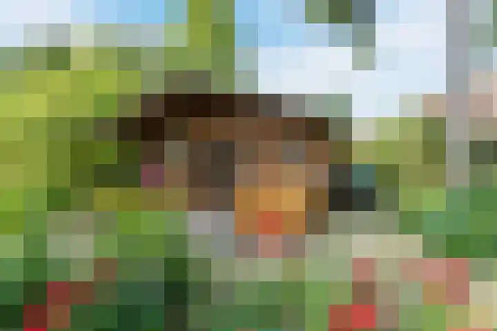 Noorderdiep 70 Nieuw-Buinen thumbnail 21