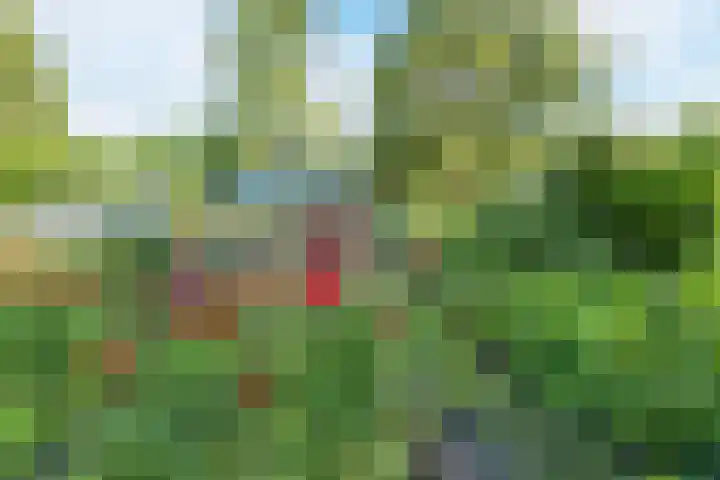 Noorderdiep 70 Nieuw-Buinen thumbnail 22