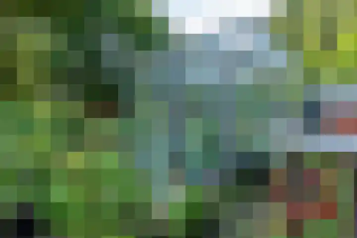 Noorderdiep 70 Nieuw-Buinen thumbnail 23