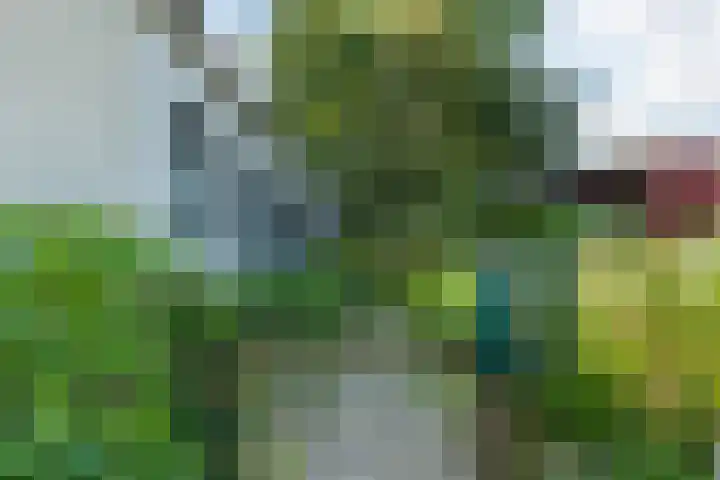 Noorderdiep 70 Nieuw-Buinen thumbnail 4