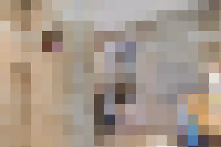 Noorderdiep 87 2e Exloërmond thumbnail 15