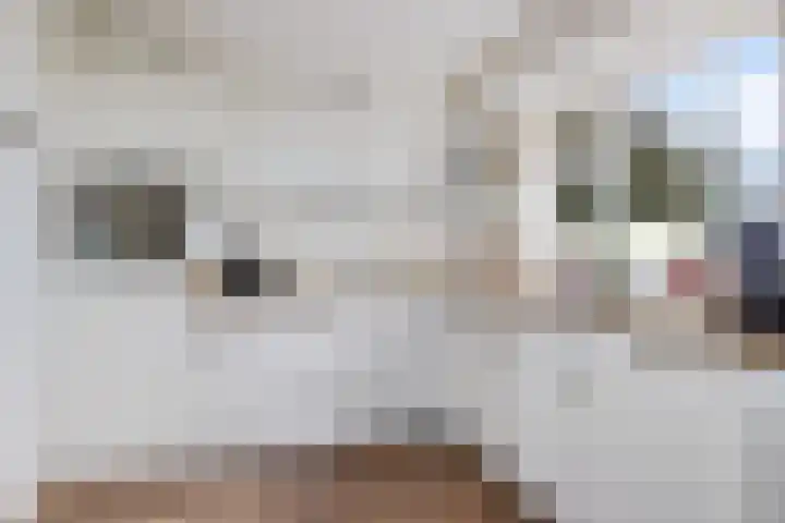 Noorderdiep 87 2e Exloërmond thumbnail 17