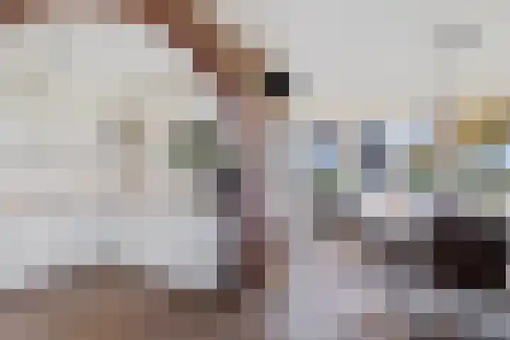 Noorderdiep 87 2e Exloërmond thumbnail 23