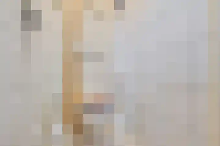 Noorderdiep 87 2e Exloërmond thumbnail 25