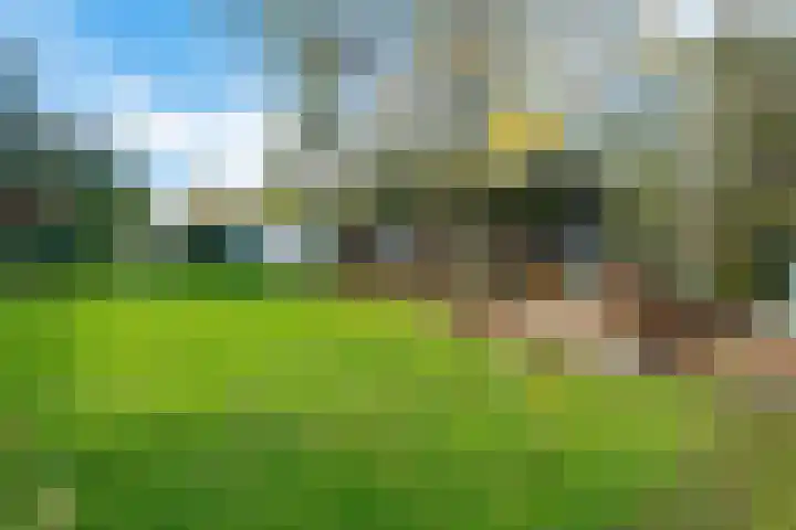 Noorderdiep 87 2e Exloërmond thumbnail 45