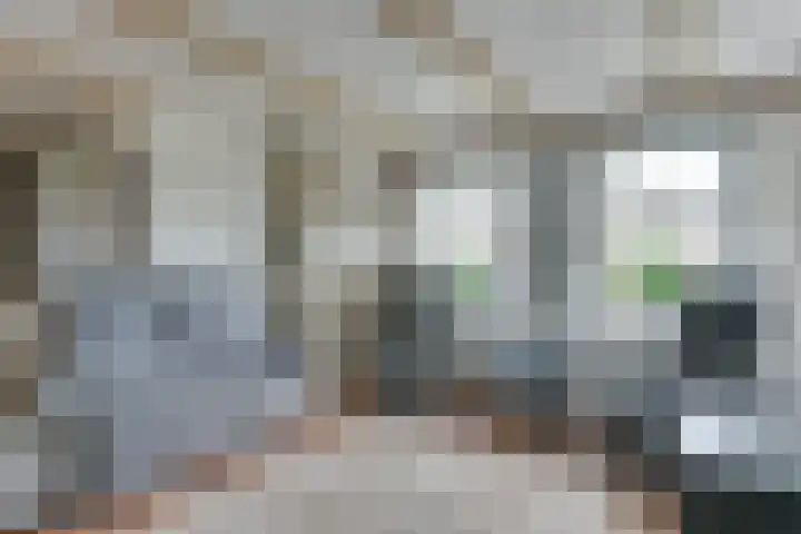 Noorderdracht 10 Oosterblokker thumbnail 11