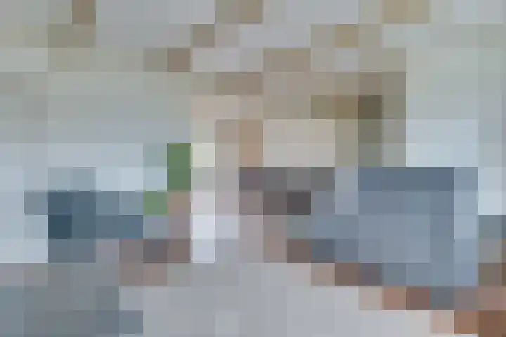 Noorderdracht 10 Oosterblokker thumbnail 13