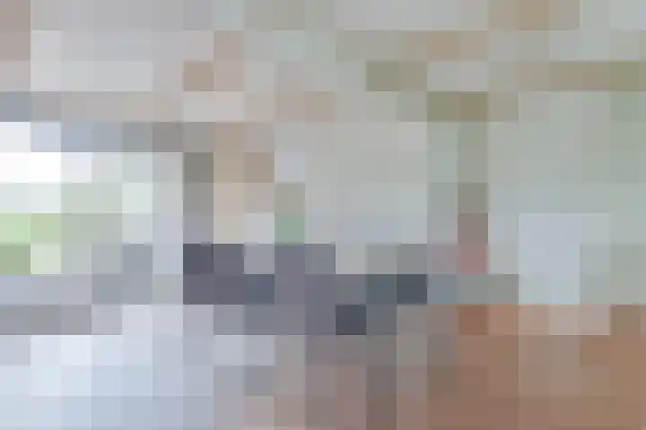 Noorderdracht 10 Oosterblokker thumbnail 14