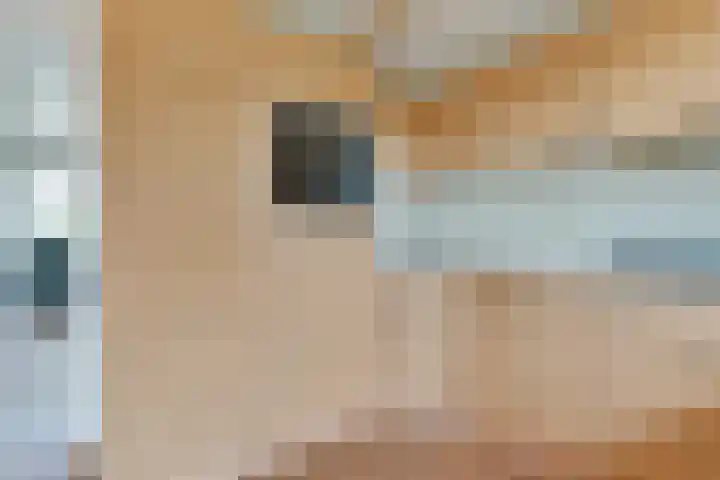 Noorderdracht 10 Oosterblokker thumbnail 17