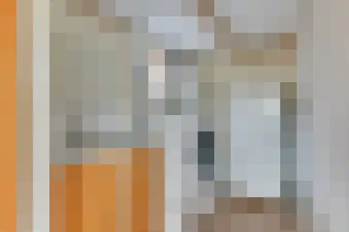 Noorderdracht 10 Oosterblokker thumbnail 21