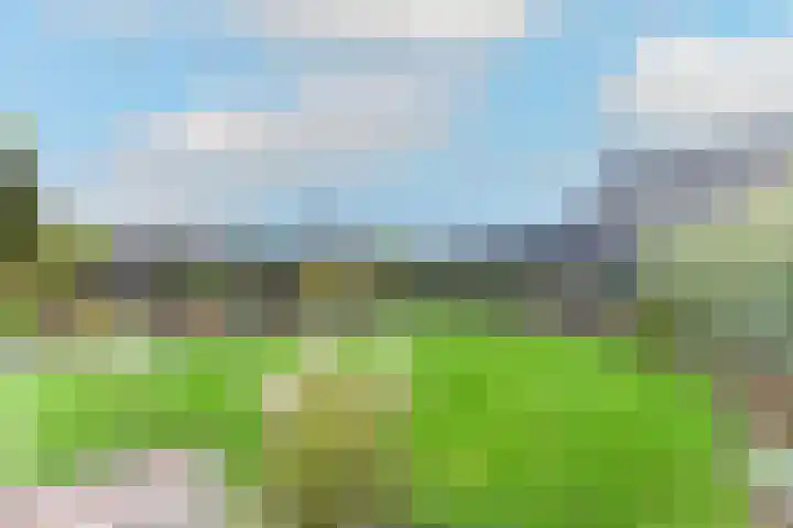 Noorderdracht 10 Oosterblokker thumbnail 37