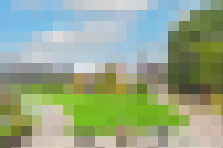 Noorderdracht 10 Oosterblokker thumbnail 42