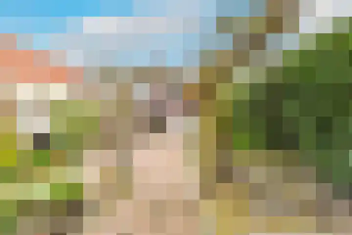 Noorderdracht 10 Oosterblokker thumbnail 43