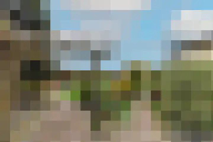 Noorderdracht 10 Oosterblokker thumbnail 44