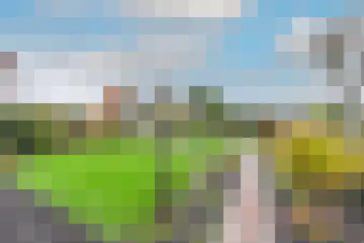 Noorderdracht 10 Oosterblokker thumbnail 6