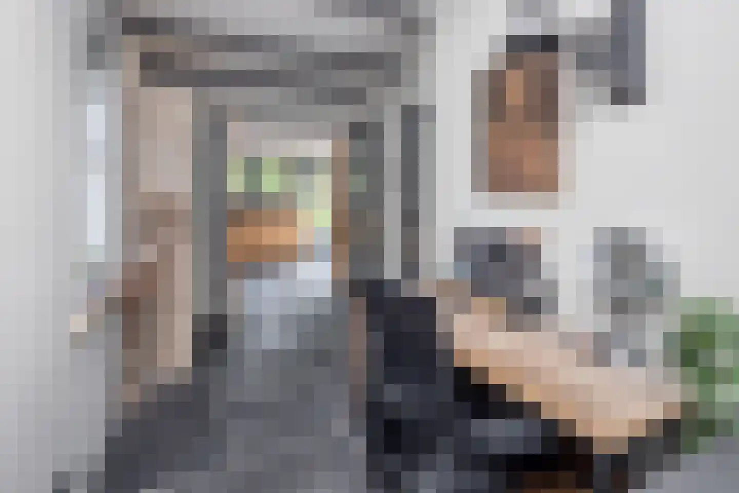 Noorderdracht 5 Oosterblokker thumbnail 10