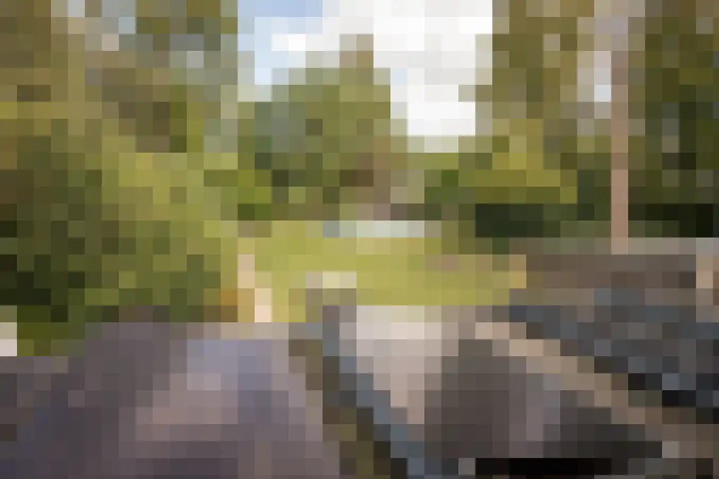 Noorderdracht 5 Oosterblokker thumbnail 21