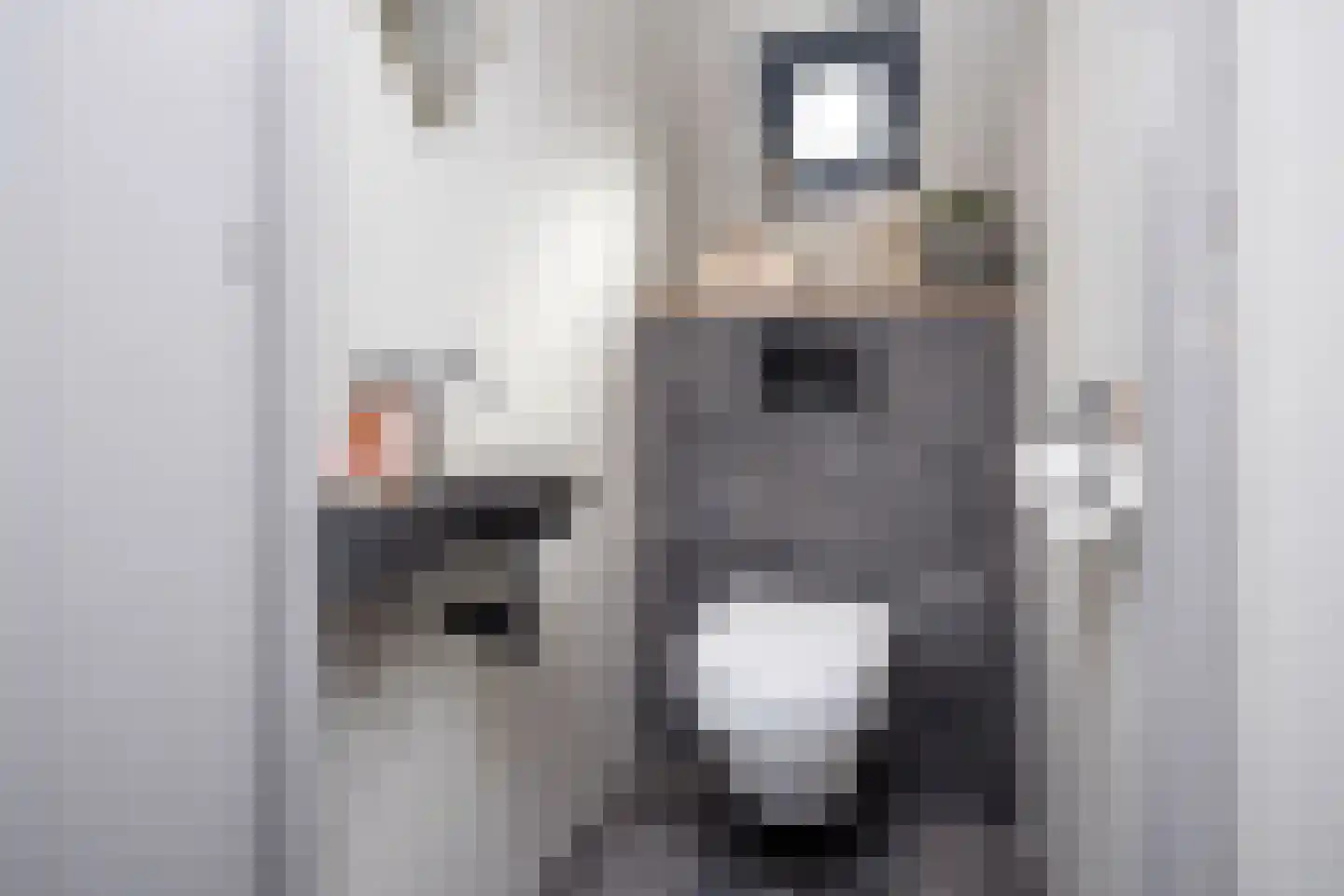 Noorderdracht 5 Oosterblokker thumbnail 25