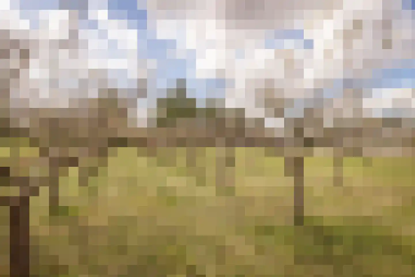 Noorderdracht 5 Oosterblokker thumbnail 28