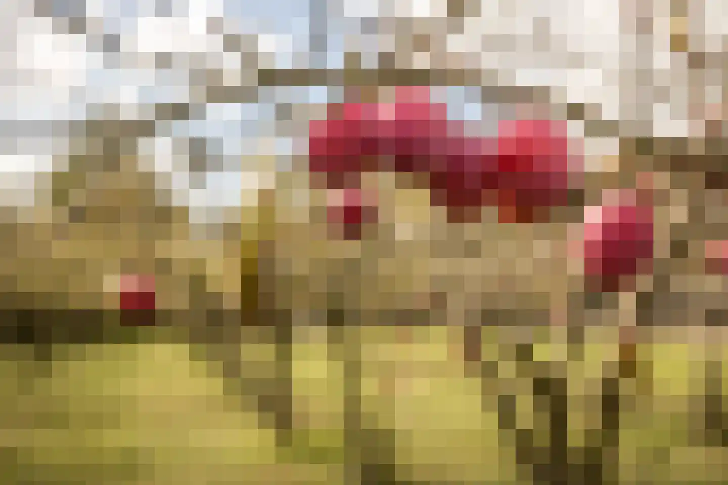 Noorderdracht 5 Oosterblokker thumbnail 29
