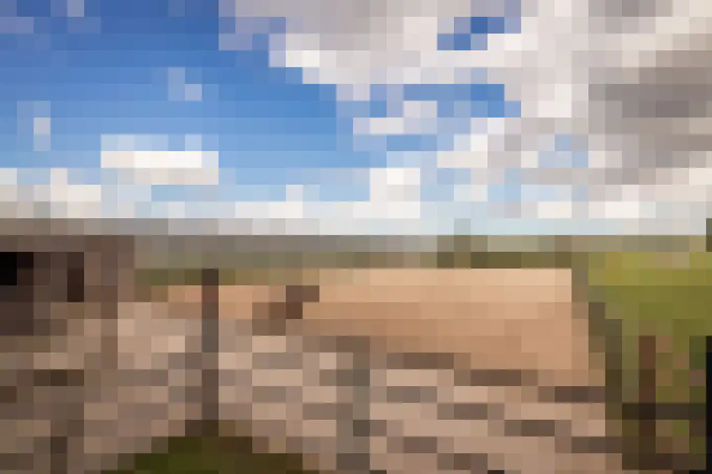 Noorderdracht 5 Oosterblokker thumbnail 34