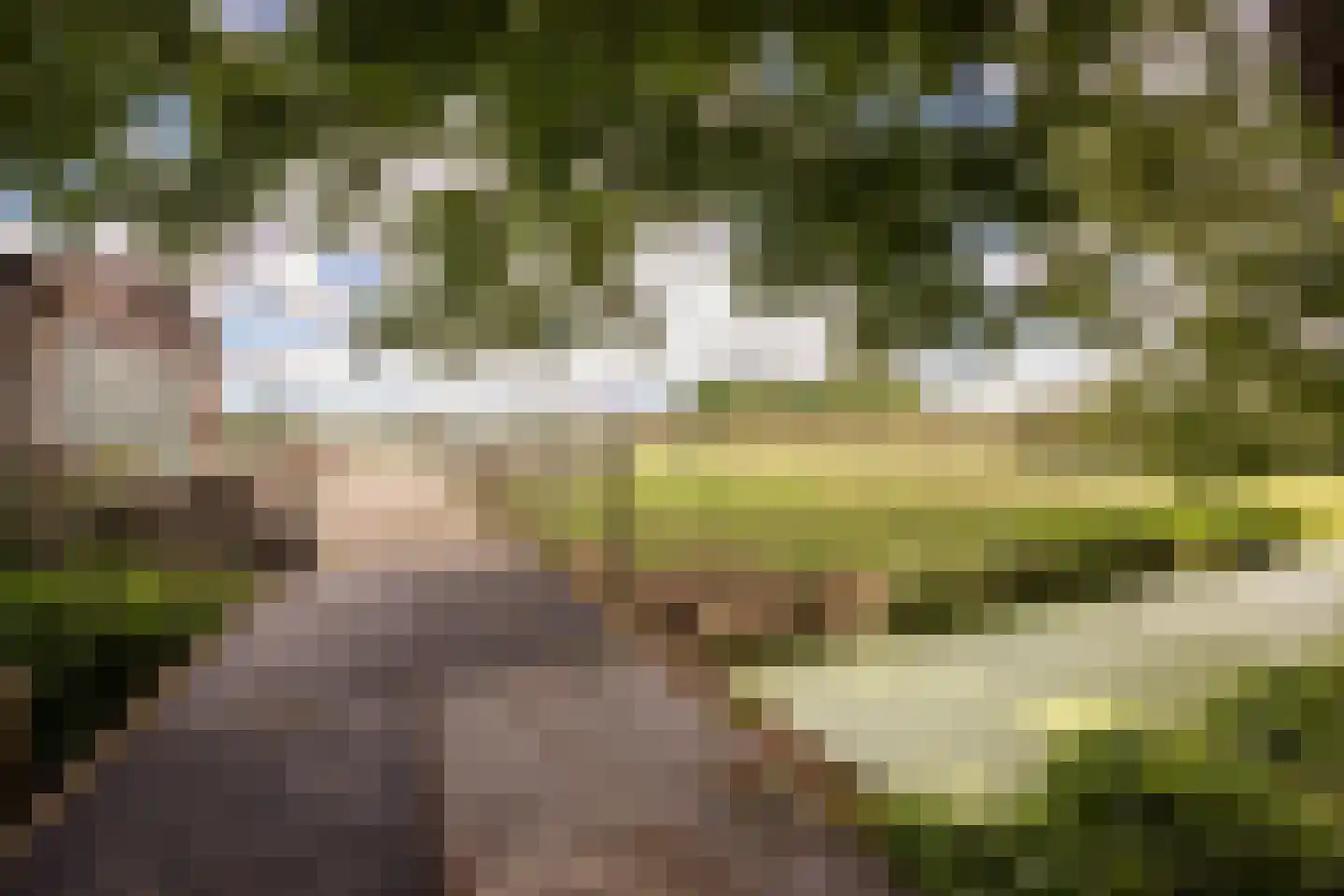 Noorderdracht 5 Oosterblokker thumbnail 35