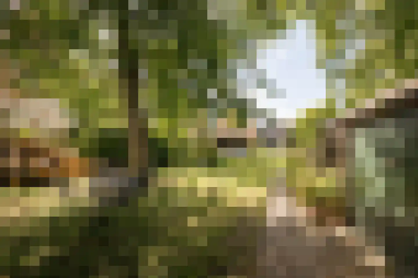 Noorderdracht 5 Oosterblokker thumbnail 36