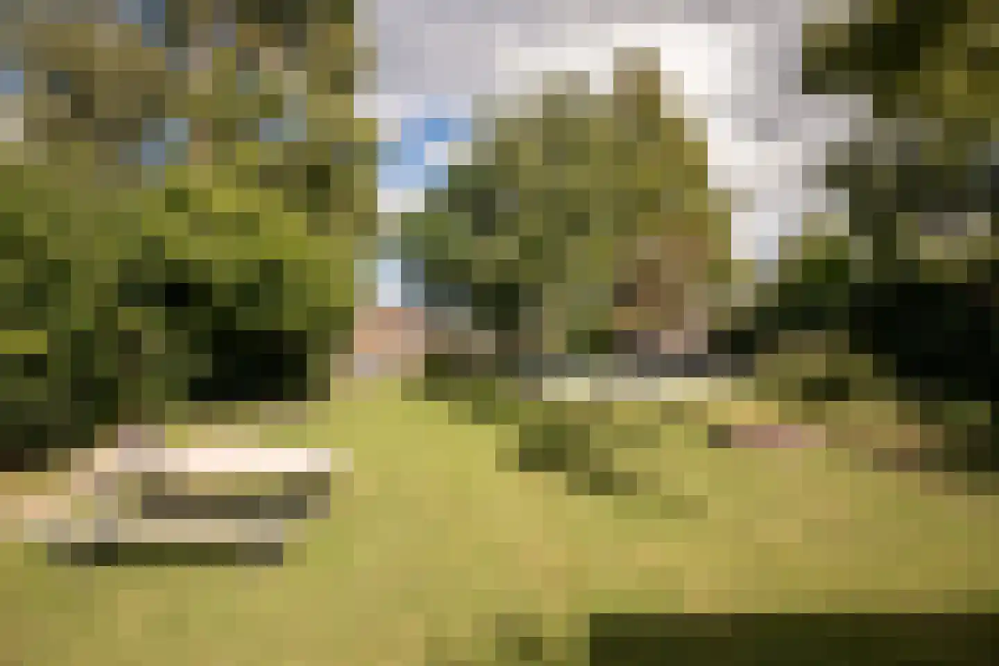Noorderdracht 5 Oosterblokker thumbnail 4