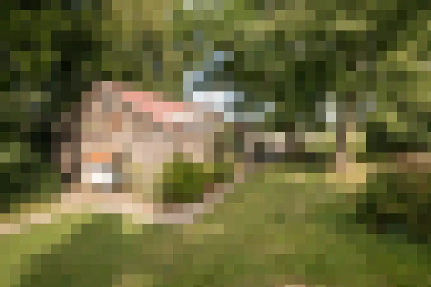 Noorderdracht 5 Oosterblokker thumbnail 46